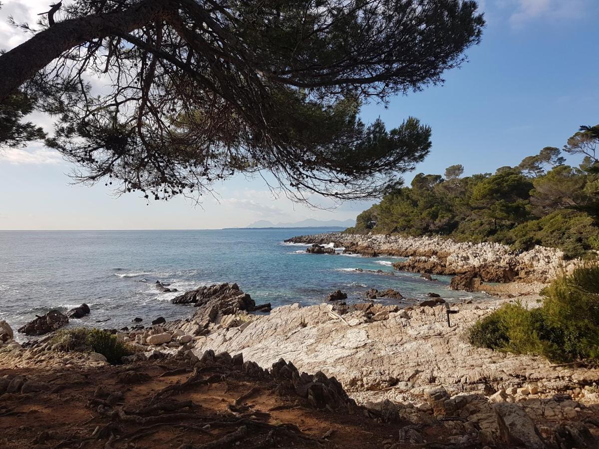 Penthouse Antibes Apartment Εξωτερικό φωτογραφία